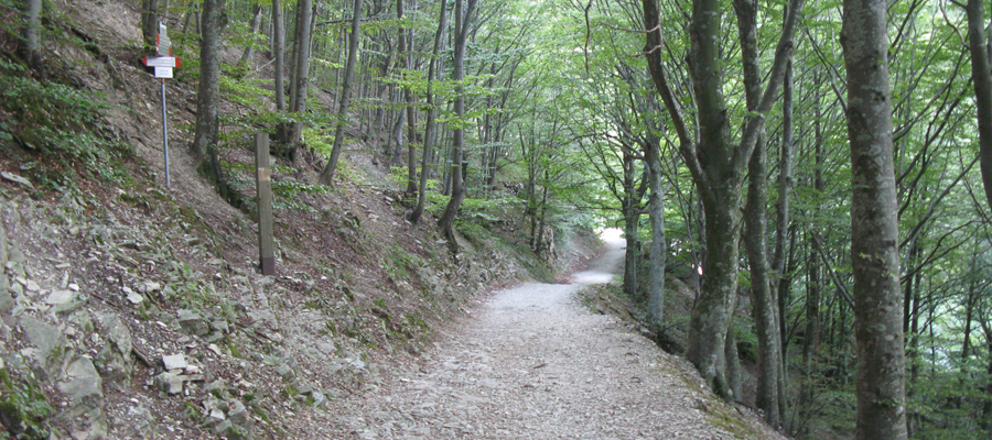 Monte Cucco Sentiero 225 - immagine 4