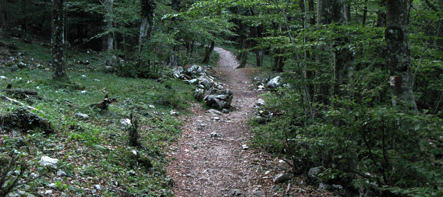 Monte Cucco Sentiero 225 - immagine 8