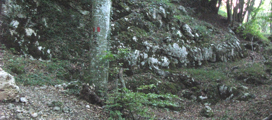 Monte Cucco Sentiero 225 - immagine 9