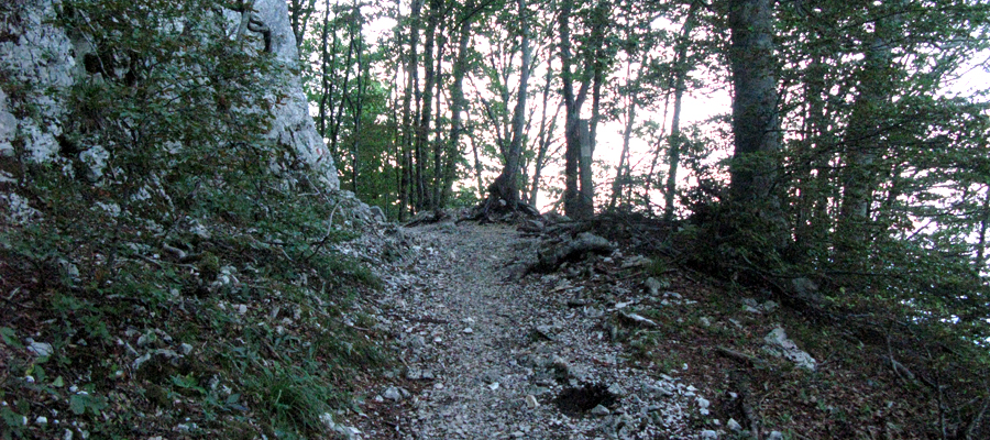 Monte Cucco Sentiero 225 - immagine 10