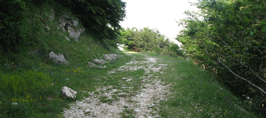 Monte Cucco Sentiero 226 - immagine 6