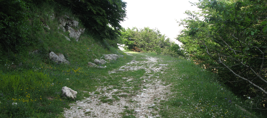 Monte Cucco Sentiero 226 - immagine 6