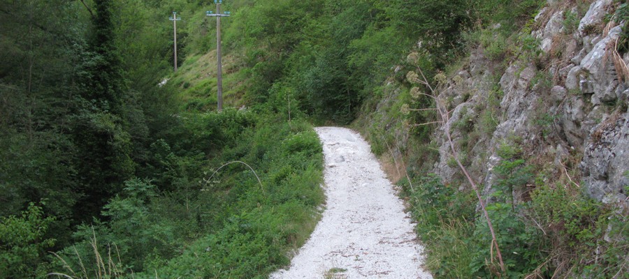 Monte Cucco Sentiero 230 - immagine 3