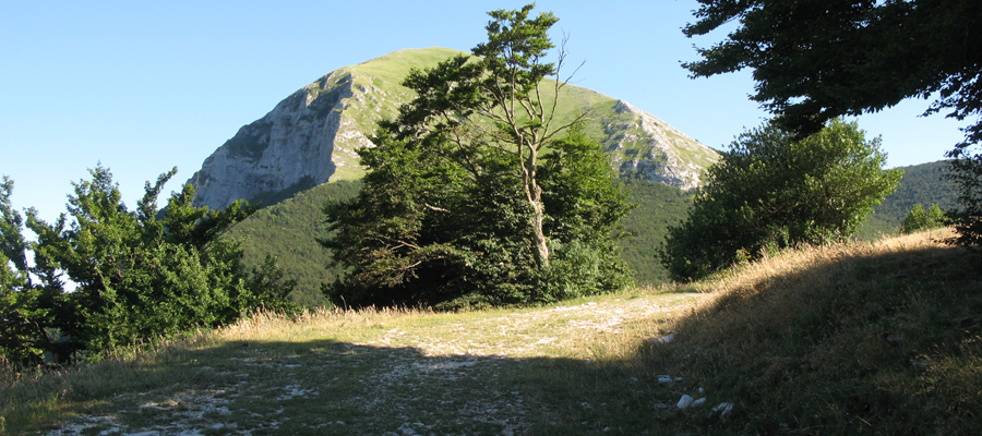 Monte Cucco Sentiero 230 - immagine 12