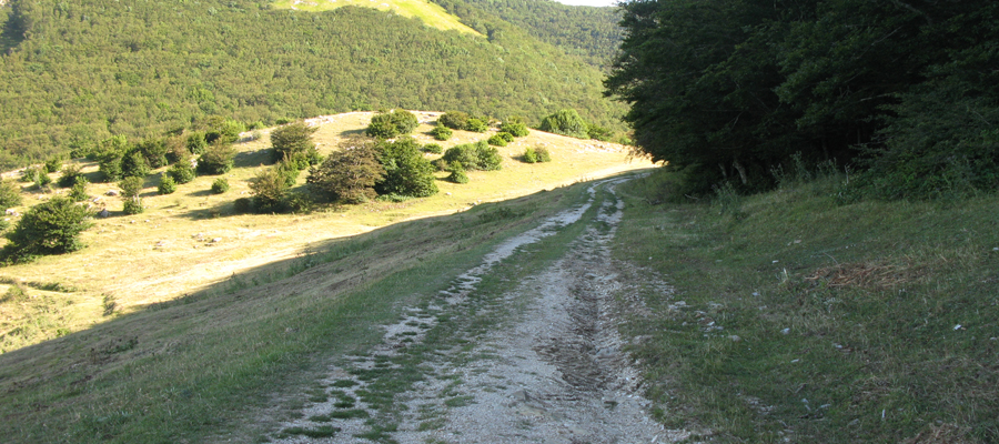 Monte Cucco Sentiero 230 - immagine 14