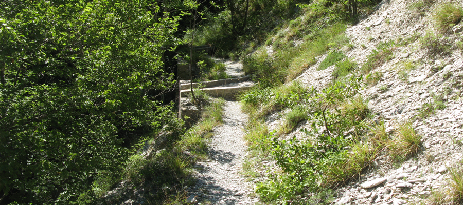 Monte Cucco Sentiero 231 - immagine 4