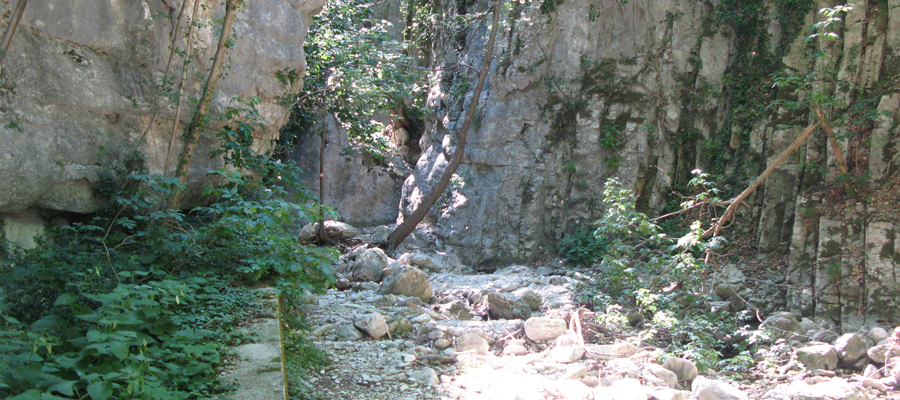 Monte Cucco Sentiero 231 - immagine 8