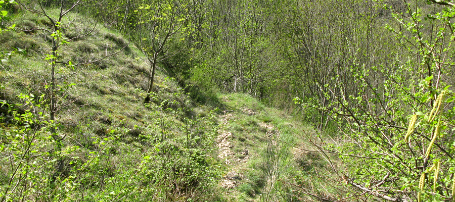 Monte Cucco Sentiero 231B - immagine 4