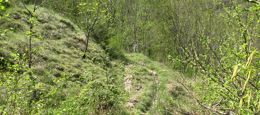 Monte Cucco Sentiero 231B - immagine 4