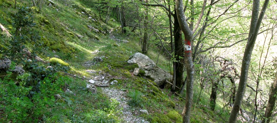 Monte Cucco Sentiero 231B - immagine 7