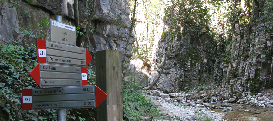 Monte Cucco Sentiero 231B - immagine 9 (Briglia)