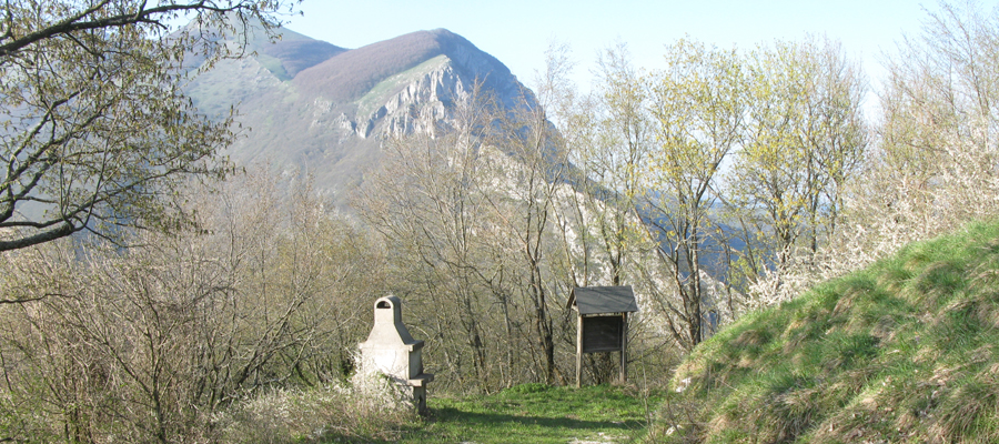 Monte Cucco Sentiero 233 - immagine 6