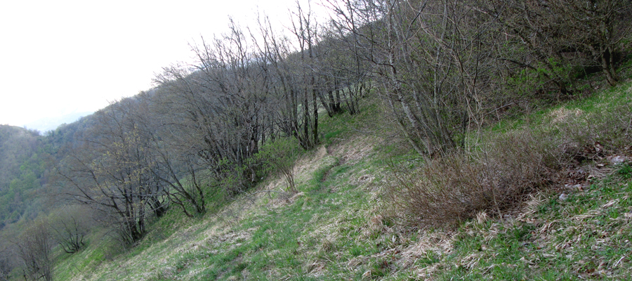 Monte Cucco Sentiero 233 - immagine 10