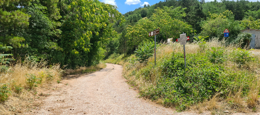 Monte Cucco Sentiero 235 - immagine 2