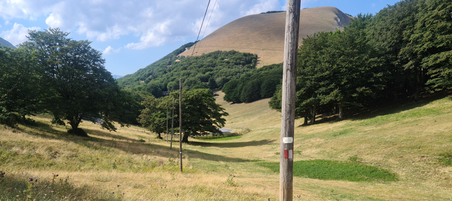 Monte Cucco Sentiero 235 - immagine 14
