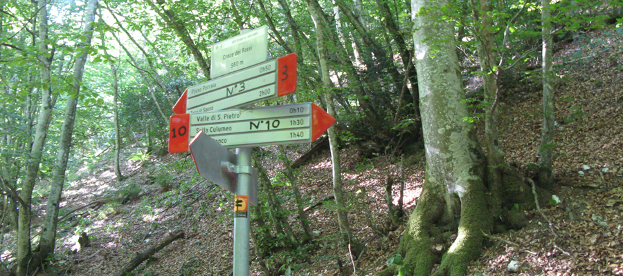Monte Cucco Sentiero 236 - immagine 1 (Croce dei Fossi)