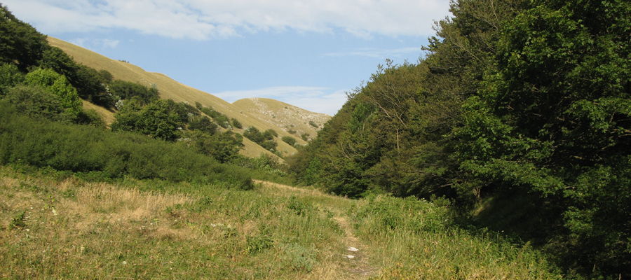Monte Cucco Sentiero 236 - immagine 5 (Valle di San Pietro)