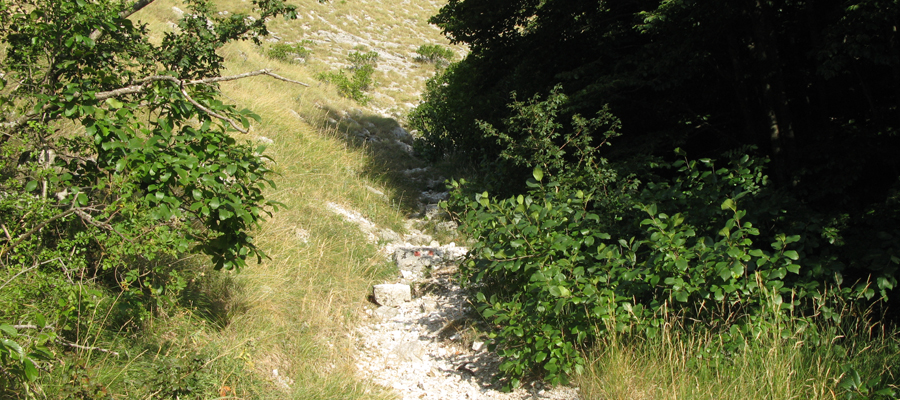 Monte Cucco Sentiero 236 - immagine 6