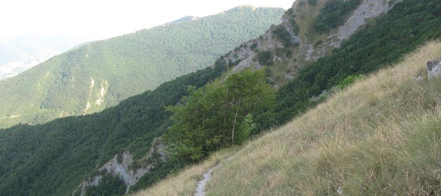 Monte Cucco Sentiero 236 - immagine 7