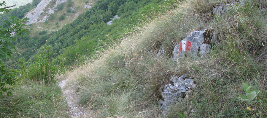 Monte Cucco Sentiero 236 - immagine 8