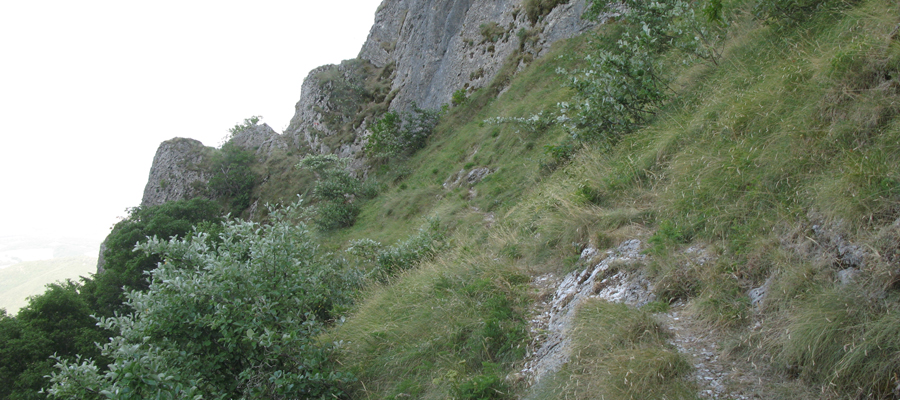 Monte Cucco Sentiero 236 - immagine 9 (Passo Cattivo)