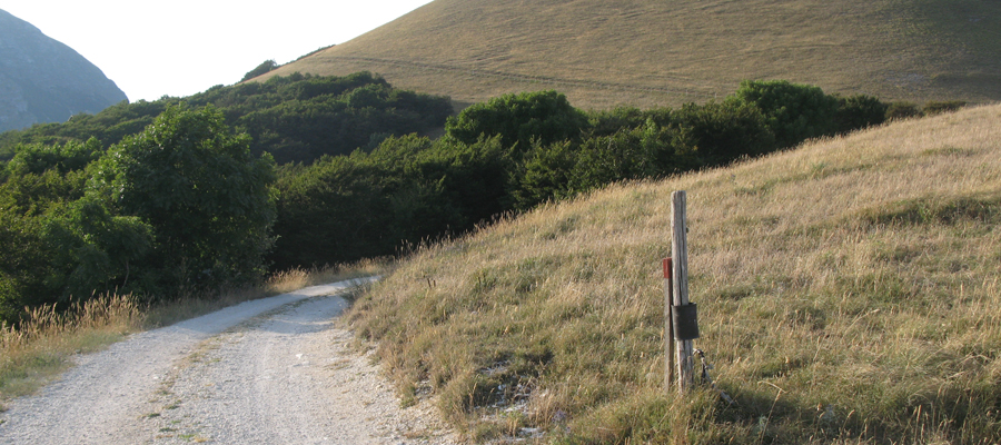 Monte Cucco Sentiero 236 - immagine 13