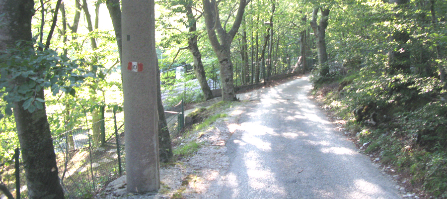 Monte Cucco Sentiero 236 - immagine 14