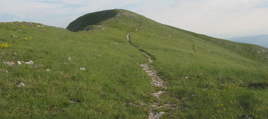 Monte Cucco Sentiero 239 - immagine 2