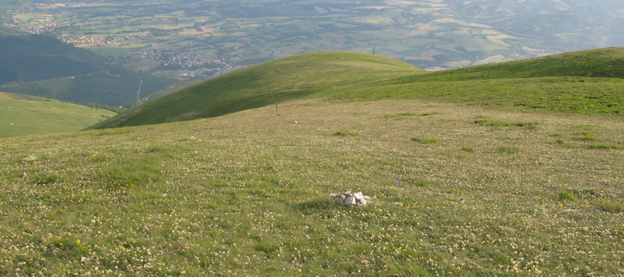 Monte Cucco Sentiero 239 - immagine 5