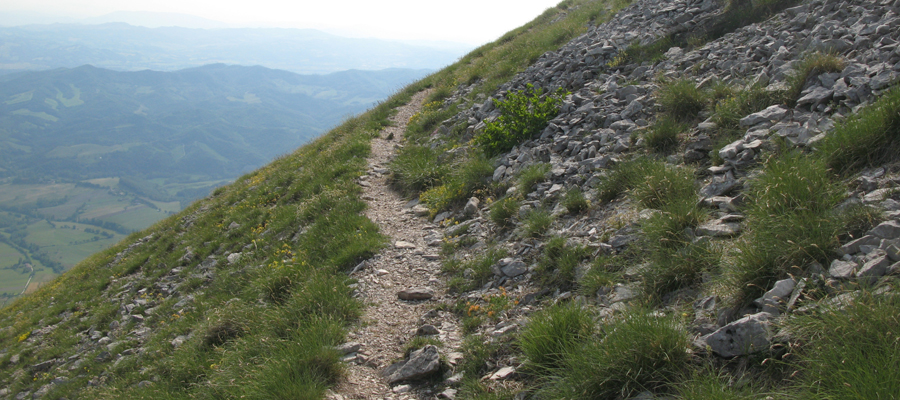 Monte Cucco Sentiero 240 - immagine 4
