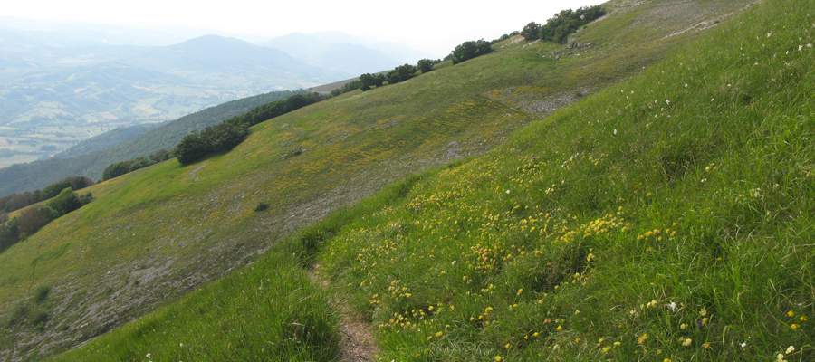 Monte Cucco Sentiero 240 - immagine 5