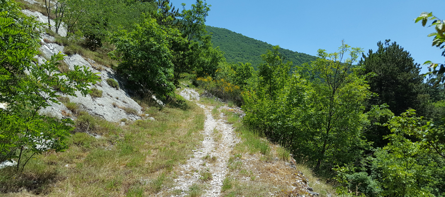 Monte Cucco Sentiero 280 - immagine 3