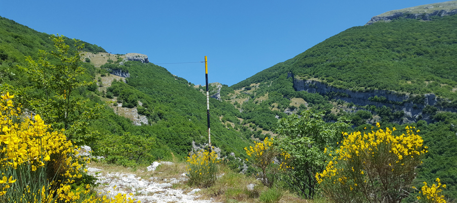 Monte Cucco Sentiero 280 - immagine 4