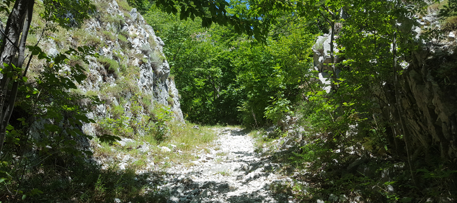 Monte Cucco Sentiero 280 - immagine 5