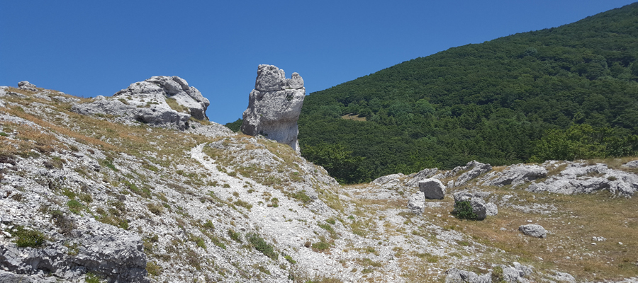 Monte Cucco Sentiero 280 - immagine 11 (Il Sasso)