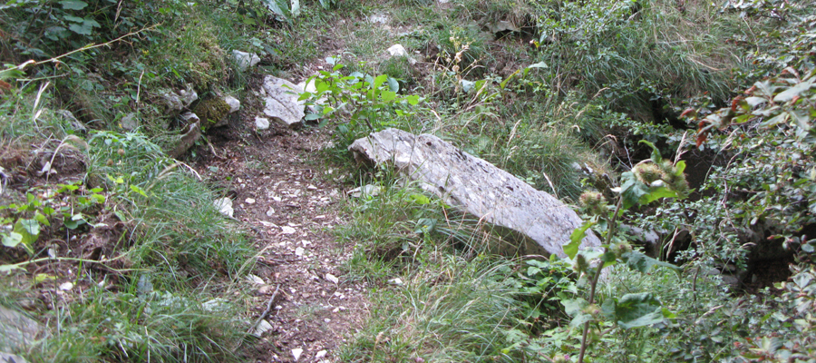 Monte Cucco Sentiero 282 - immagine 3