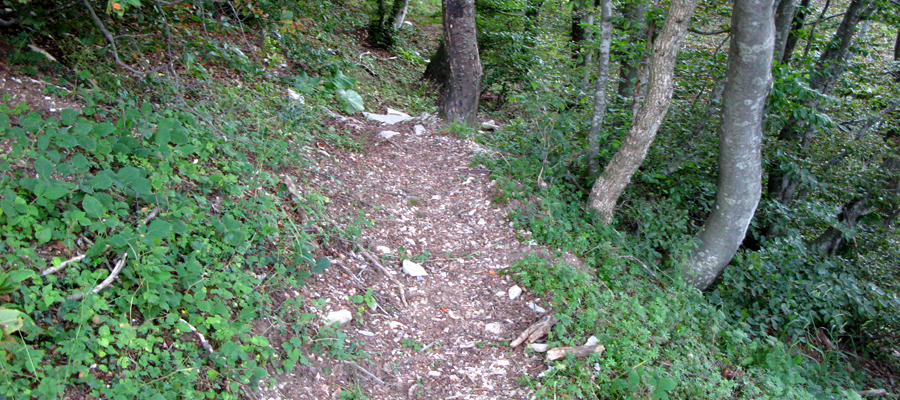 Monte Cucco Sentiero 282 - immagine 4