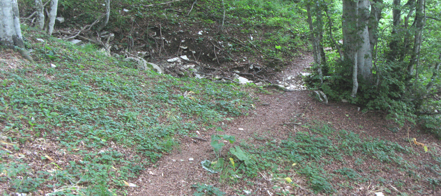 Monte Cucco Sentiero 282 - immagine 6