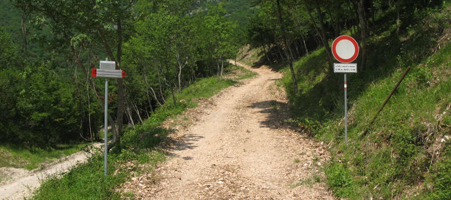 Monte Cucco Sentiero 292 - immagine 2