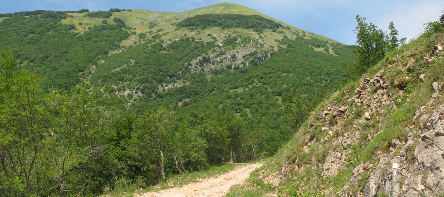 Monte Cucco Sentiero 292 - immagine 3