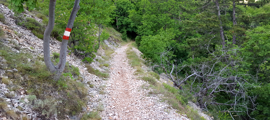 Monte Cucco Sentiero 293 - immagine 4