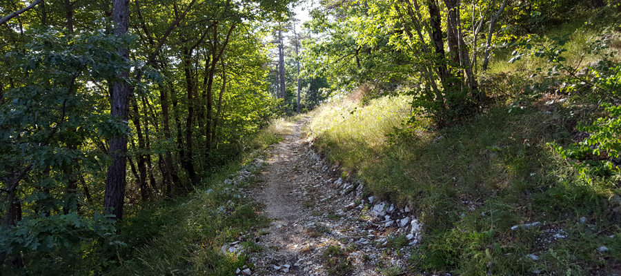 Monte Cucco Sentiero 293 - immagine 9