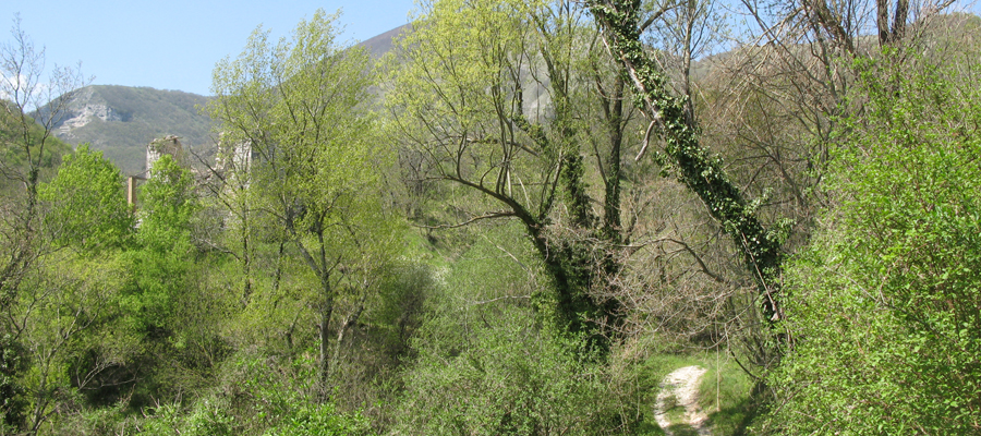 Monte Cucco Sentiero 296 - immagine 4
