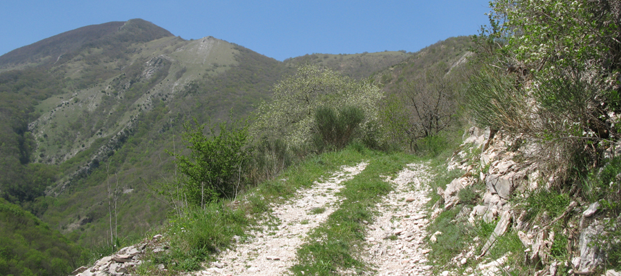 Monte Cucco Sentiero 296 - immagine 5