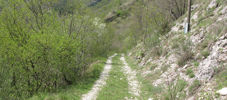 Monte Cucco Sentiero 296 - immagine 6