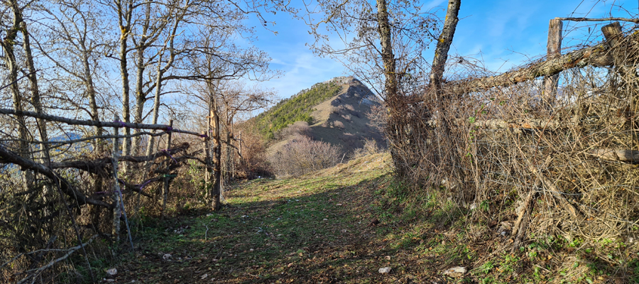 Monte Cucco Sentiero 298 - immagine 6