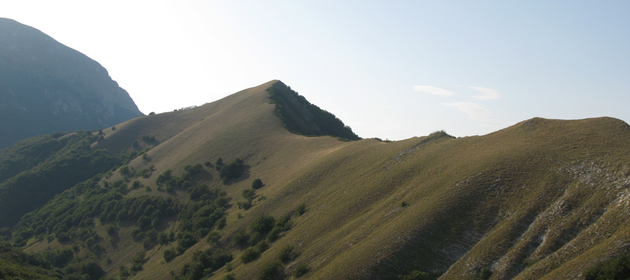 Cresta del Monte Lo Spicchio