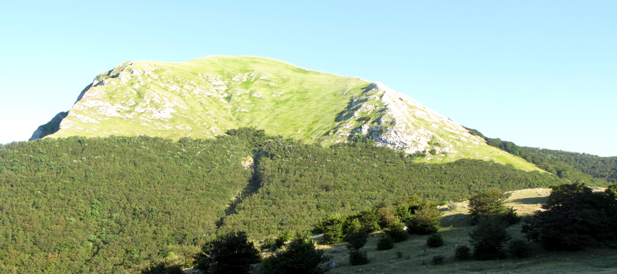 Monte Cucco versante nord